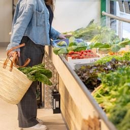 Illustration Potager City